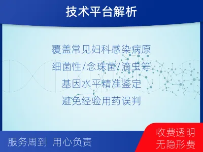 西林-妇科微生物检测-报告解读