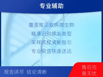 桃山-妇科微生物检测-检测流程