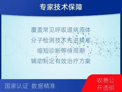 文成-呼吸道病原体核酸检测-检测流程