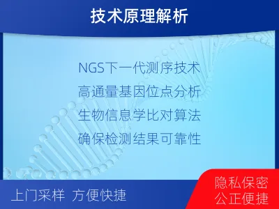 南通如东-无创dna亲子鉴定-报告解读