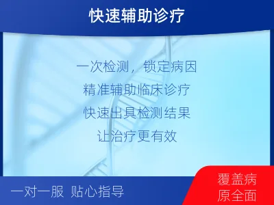 大田-呼吸道病原体核酸检测-检测流程