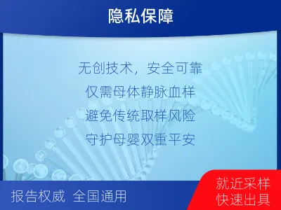 莘-胎儿无创dna亲子鉴定-检测介绍