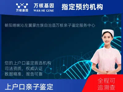 上户口亲子鉴定