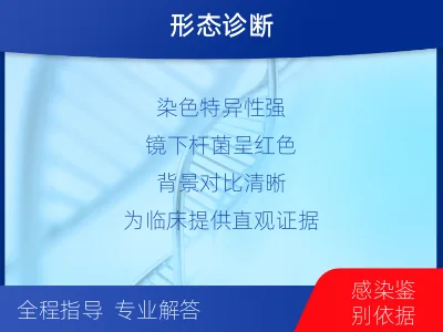 牡丹-抗酸染色涂片镜检-检测流程