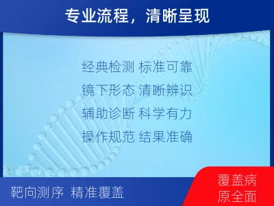 衡东-抗酸染色涂片镜检-报告解读