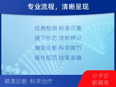 鹤山-抗酸染色涂片镜检-检测流程