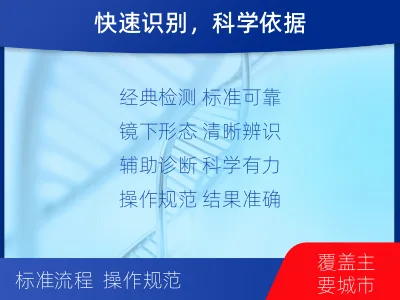 成-抗酸染色涂片镜检-报告解读