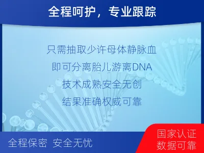 惠州惠东-亲子鉴定无创-报告解读