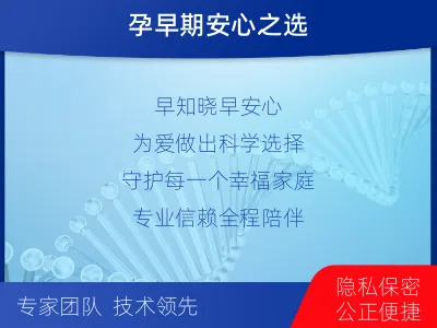 平桂-怀孕做亲子鉴定-检测流程