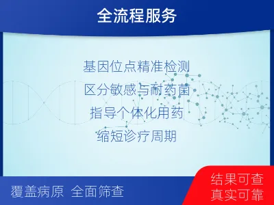 平安-结核分枝杆菌耐药基因检测-报告解读