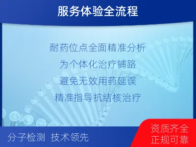 古蔺-结核分枝杆菌耐药基因检测-检测流程