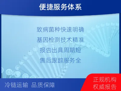 寿阳-分枝杆菌菌种鉴定-适用人群