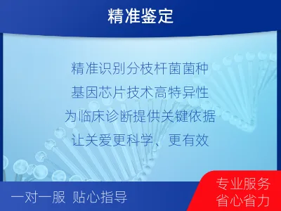 平原-分枝杆菌菌种鉴定-检测介绍