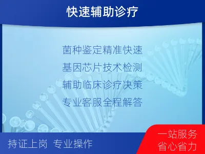 西秀-分枝杆菌菌种鉴定-适用人群