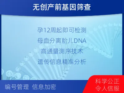 宝丰-无创胎儿亲子鉴定-报告解读