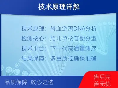 紫云-亲子鉴定无创-报告解读