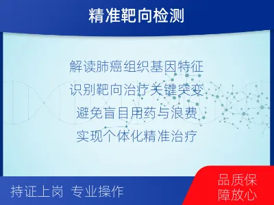 原阳-肺癌基因检测-检测流程