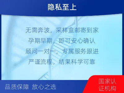 原阳-无创产前亲子鉴定-检测流程