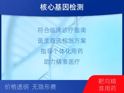 宣恩-肺癌基因检测-报告解读