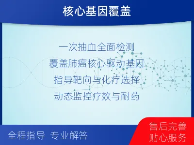 福田-肺癌基因ctDNA检测-报告解读