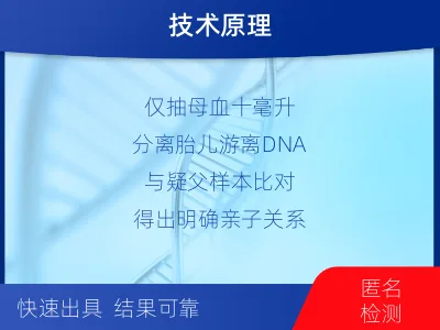 彭州-无创胎儿亲子鉴定-检测流程