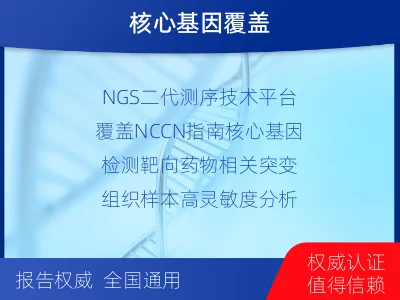 衡水-肺癌基因检测-报告解读