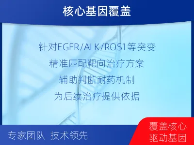 深州-肺癌基因检测-检测流程