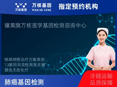 肺癌13基因突变检测（组织）