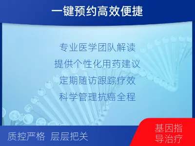 灵宝-肺癌靶向基因检测-检测流程