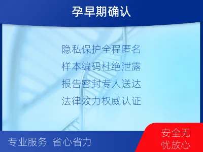 临翔-怀孕DNA亲子鉴定-检测流程