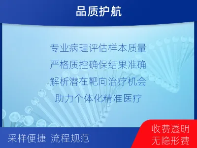 祁东-肺癌靶向基因检测-检测流程