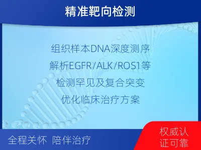 邵东-肺癌靶向基因检测-检测流程