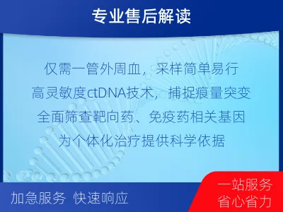 故城-肺癌基因ctDNA检测-报告解读