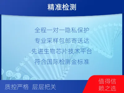 云梦-胎儿无创dna亲子鉴定-检测流程