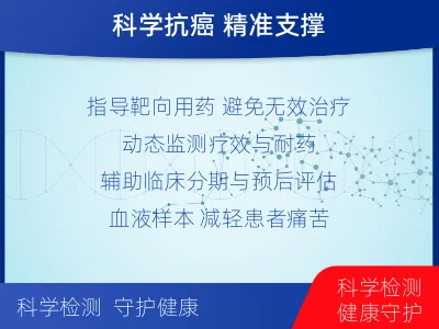 宣恩-肺癌基因ctDNA检测-报告解读