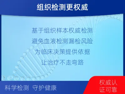 徐汇-肺癌靶向基因检测-报告解读