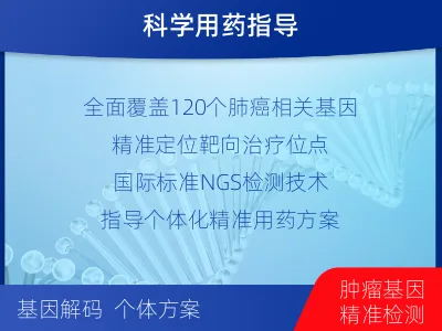 常宁-肺癌靶向基因检测-检测流程