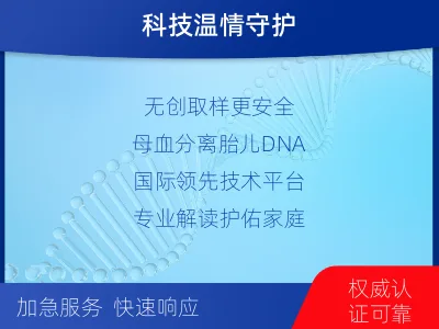 永和-怀孕期间亲子鉴定-检测流程