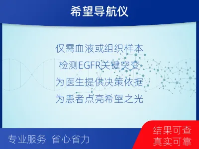 周至-EGFR肺癌基因检测-适用人群