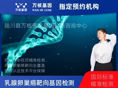 玉林市陆川县乳腺/卵巢癌靶向120基因检测及PDL122C3表达检测套餐（组织）