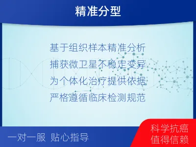 冷水江-MSI肿瘤微卫星变异的检测-检测流程