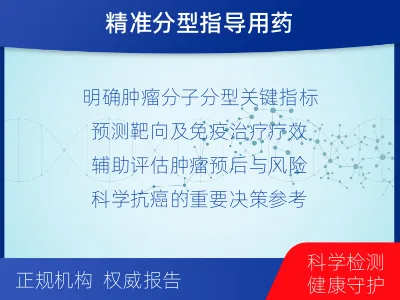 额敏-MSI肿瘤微卫星变异的检测-检测流程
