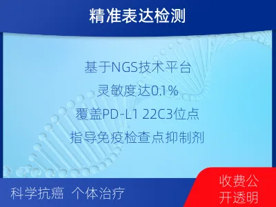 高阳-PD-L122C3表达检测-检测介绍