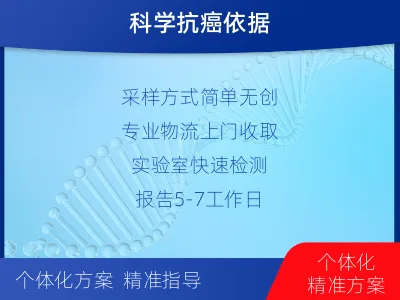 新邵-PD-L122C3表达检测-报告解读