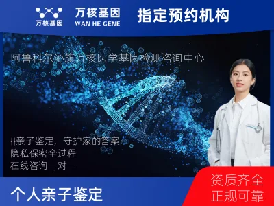 个人亲子鉴定