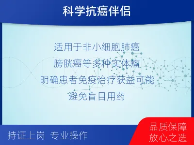 信丰-PD-L1SP263表达检测-检测介绍