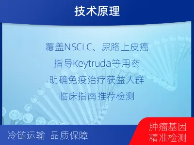 曹-PD-L1SP263表达检测-检测介绍