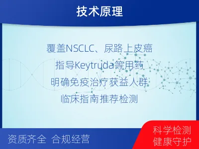 南丹-PD-L1SP263表达检测-检测介绍