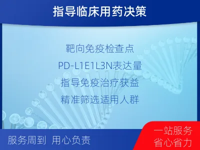 准格尔-PD-L1E1L3N表达检测-报告解读