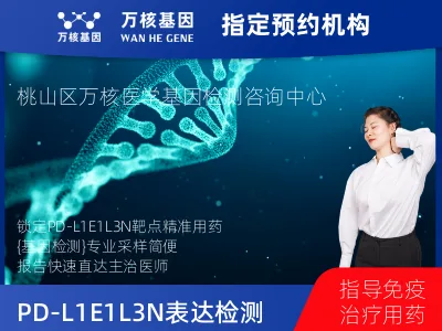 PD-L1E1L3N表达检测